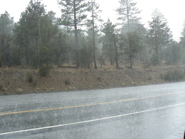 Summer Thunderstorms: August 31, 2007