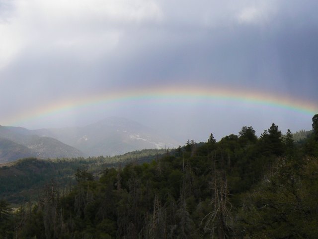 Summer Thunderstorms: August 31, 2007