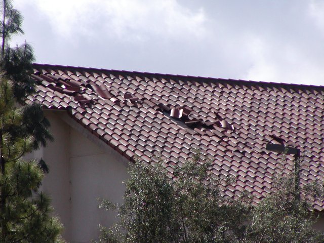 Tornados Tear Through Fallbrook, Rainbow and Temecula: February 19, 2005