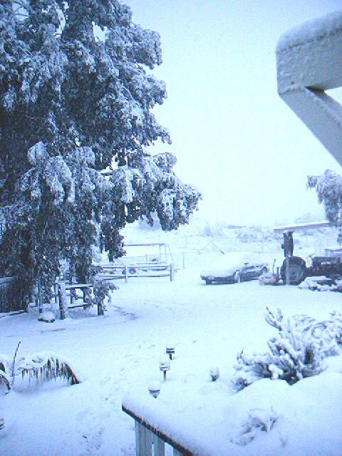 March Snowfall: March 11-12, 2006