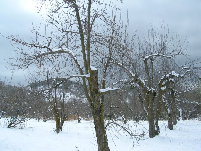 March Snowfall: March 11-12, 2006