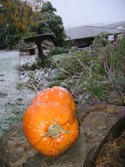 Hemet Snowfall: November 21, 2004