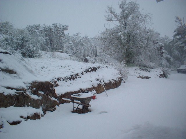 Hemet Snowfall: November 21, 2004