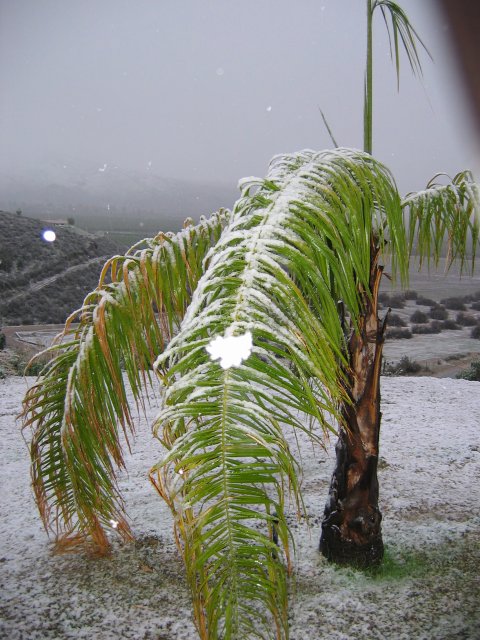 Hemet Snowfall: November 21, 2004