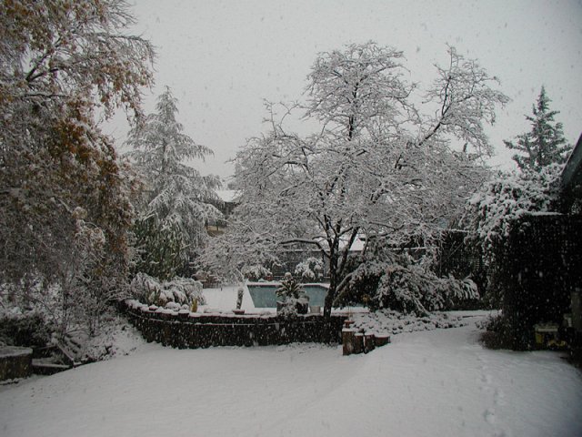 Hemet Snowfall: November 21, 2004
