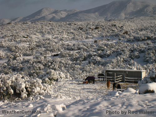 Snow Tuesday in Sage