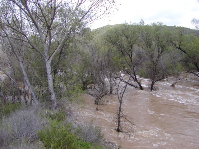 Storms and Flooding: February 17-24, 2005
