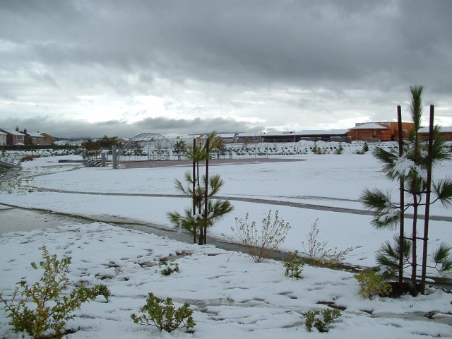 Temecula Valley Snowfall: November 21, 2004