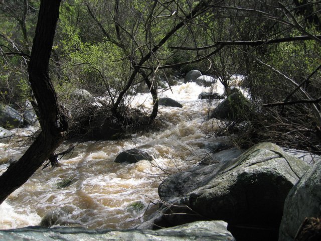 Storms and Flooding: February 17-24, 2005