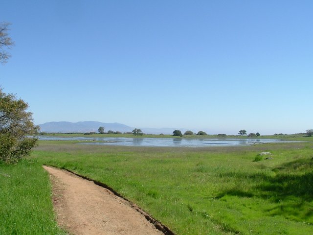 Santa Rosa Plateau Ecological Reserve: March, 2005