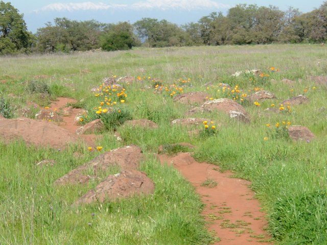 Santa Rosa Plateau Ecological Reserve: March, 2005