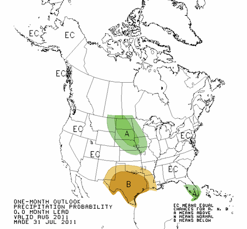 Precipitation Outlook June 2011