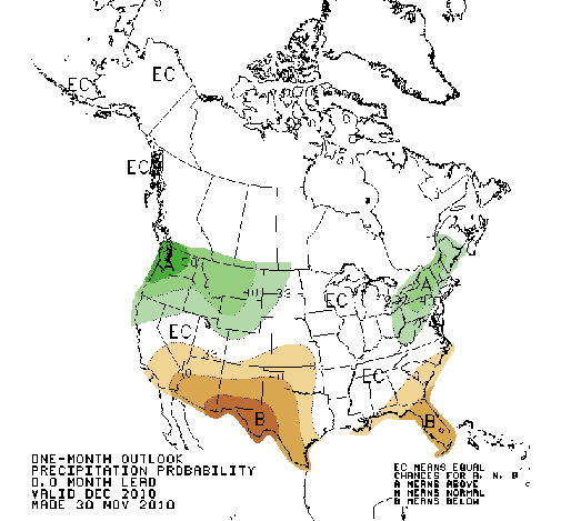 Precipitation Outlook Dec 2010