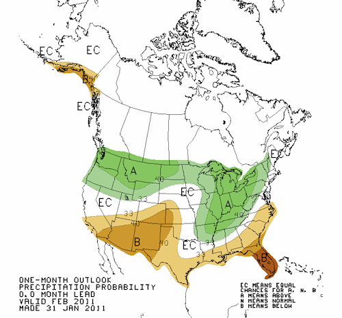 Precipitation Outlook Feb 2011