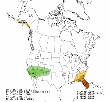 Precipitation Outlook Jan 2011