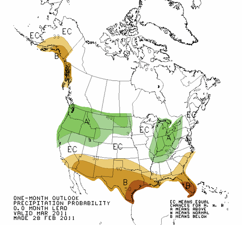 Precipitation Outlook Mar 2011