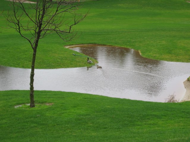 Heavy Rainfall, Flooding and Mudslides: January 9-11, 2005