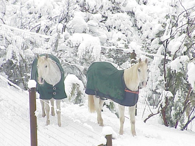 March Snowfall: March 11-12, 2006