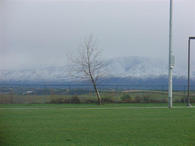 Low Mountain Snow: February 14, 2008