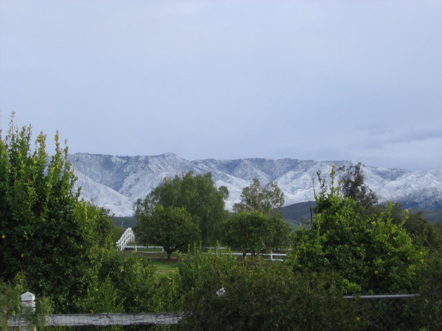 Low Mountain Snow: February 14, 2008