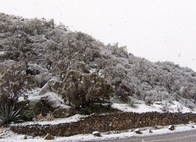 Low Mountain Snow: February 14, 2008