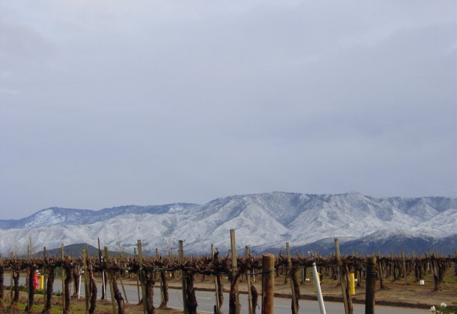 Low Mountain Snow: February 14, 2008