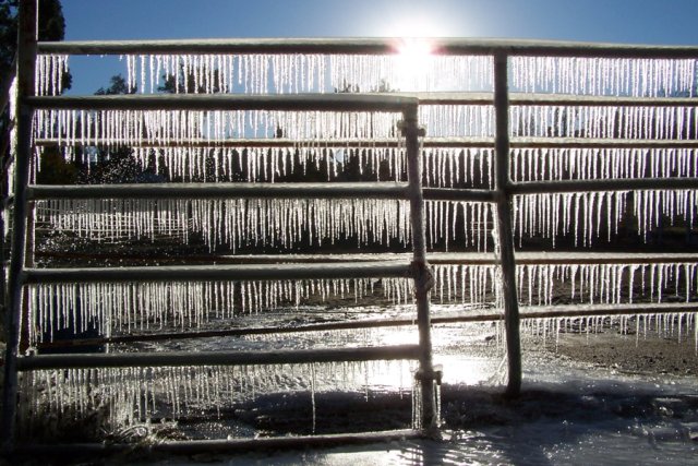 Record Cold: January 14, 2007