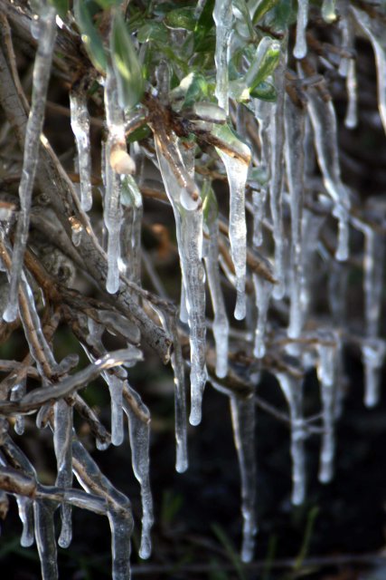 Record Cold: January 14, 2007