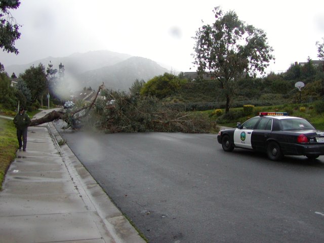 Tornados Tear Through Fallbrook, Rainbow and Temecula: February 19, 2005