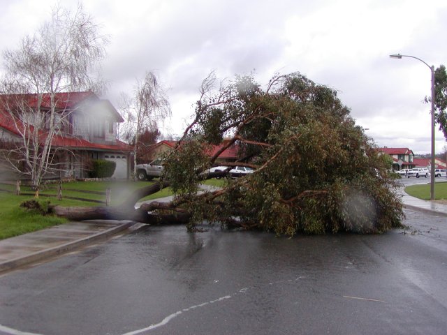 Tornados Tear Through Fallbrook, Rainbow and Temecula: February 19, 2005