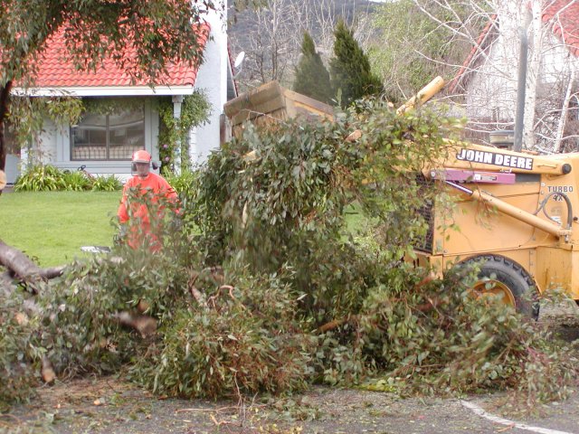 Tornados Tear Through Fallbrook, Rainbow and Temecula: February 19, 2005