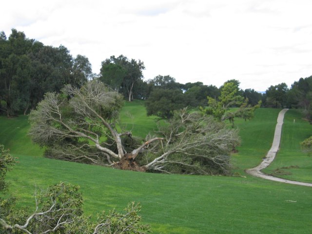 Tornados Tear Through Fallbrook, Rainbow and Temecula: February 19, 2005