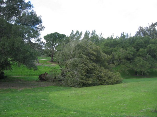 Tornados Tear Through Fallbrook, Rainbow and Temecula: February 19, 2005