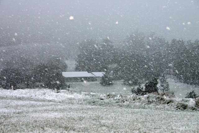 Temecula Valley Snowfall: November 21, 2004