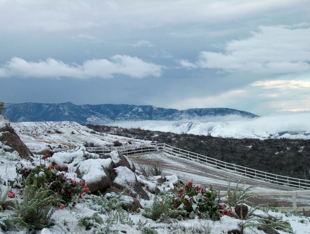 Temecula Valley Snowfall: November 21, 2004