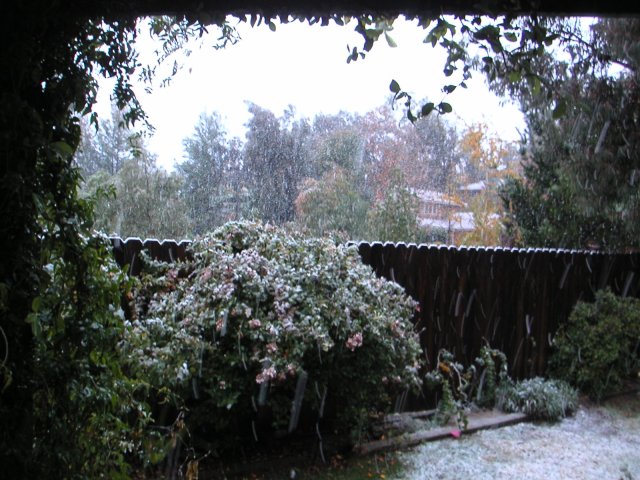 Temecula Valley Snowfall: November 21, 2004