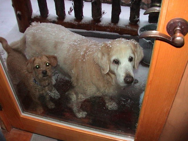 Temecula Valley Snowfall: November 21, 2004