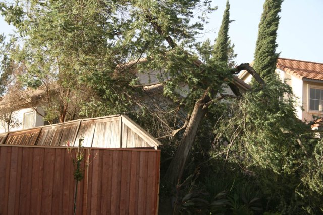 Damage From Santa Ana Winds: October 22, 2007