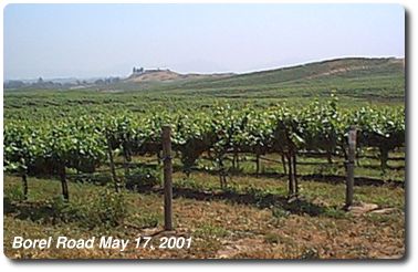 A Temecula Vineyard near Lake Skinner