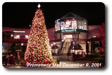 Season's Greetings in Temecula