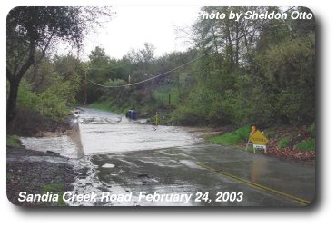 Flooded Creek Crosses Road