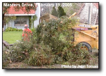 Tornado Cleanup